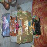 Vraj-Yatra-2014- (653)